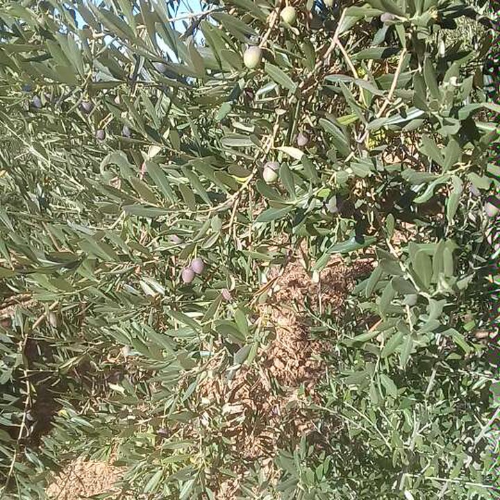 My Crowdsourcing Posts