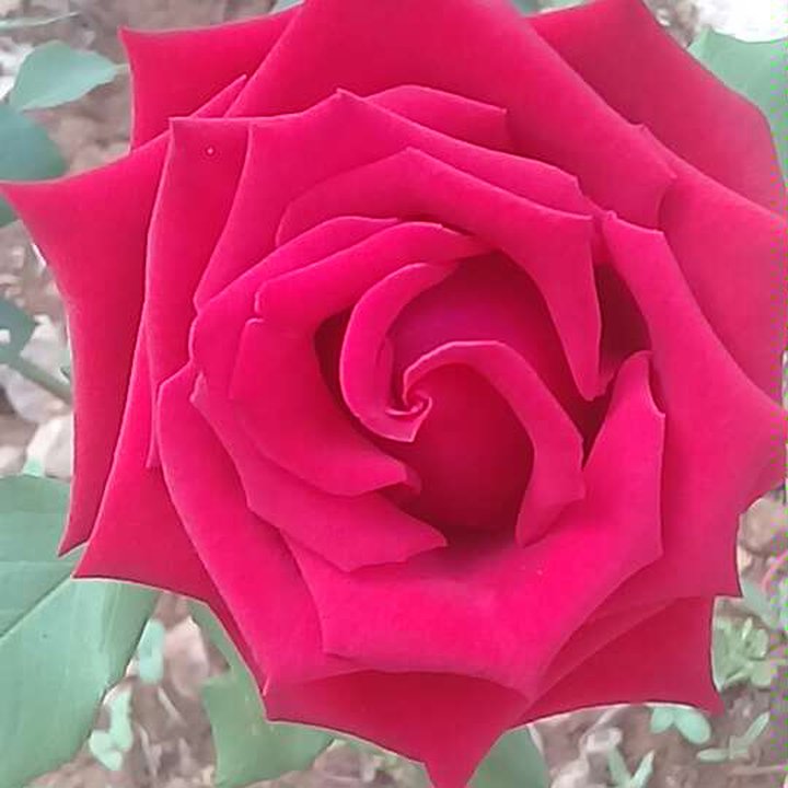 My Crowdsourcing Posts