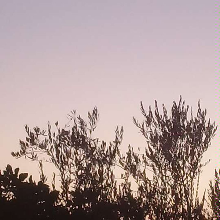 My Crowdsourcing Posts