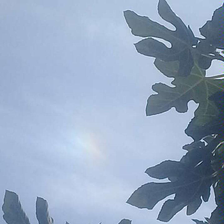 My Crowdsourcing Posts