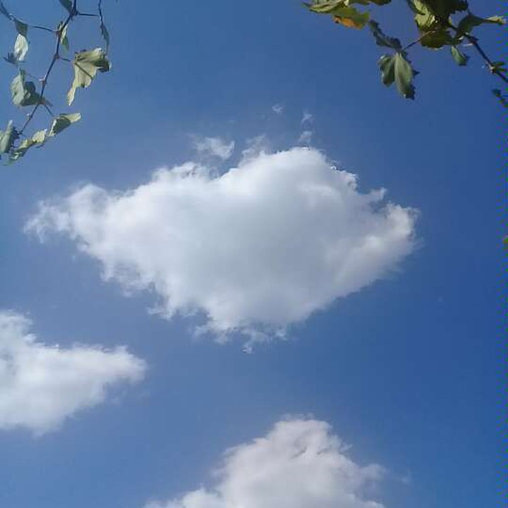 My Crowdsourcing Posts