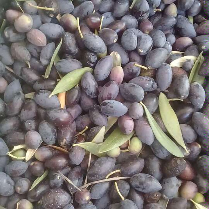 My Crowdsourcing Posts