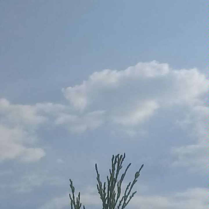 My Crowdsourcing Posts