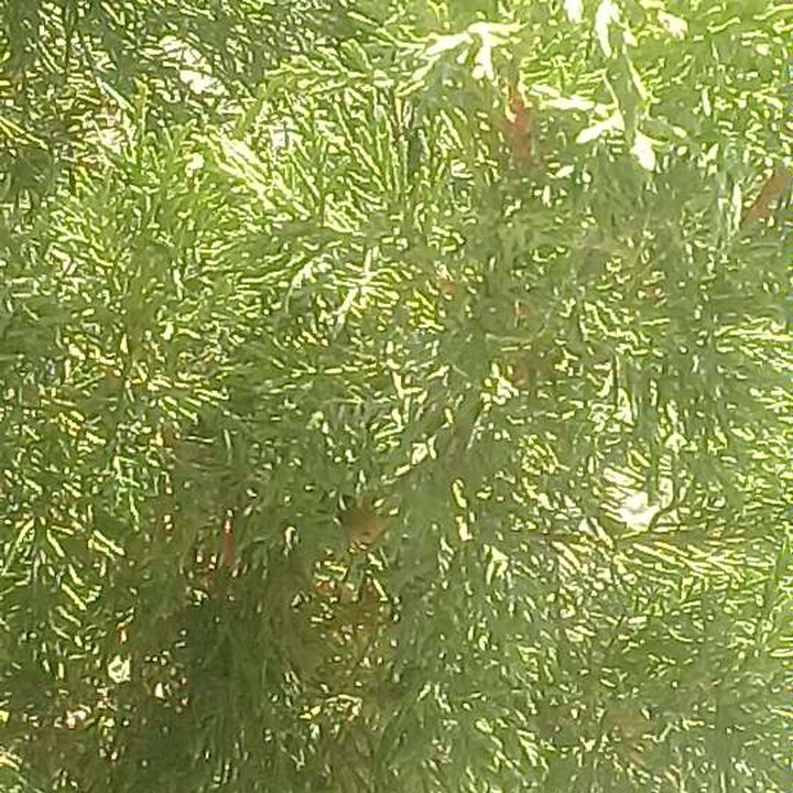 My Crowdsourcing Posts