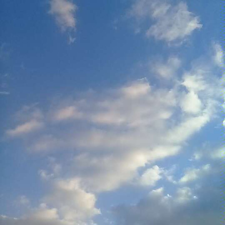 مشاركاتي في أنت الراصد