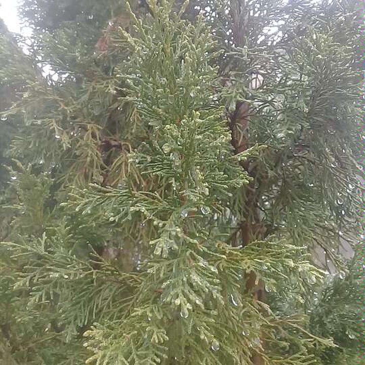 My Crowdsourcing Posts