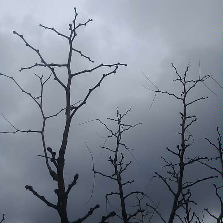 My Crowdsourcing Posts