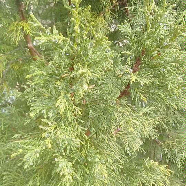 My Crowdsourcing Posts