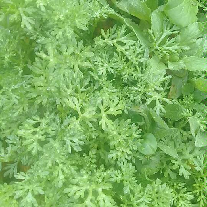 My Crowdsourcing Posts