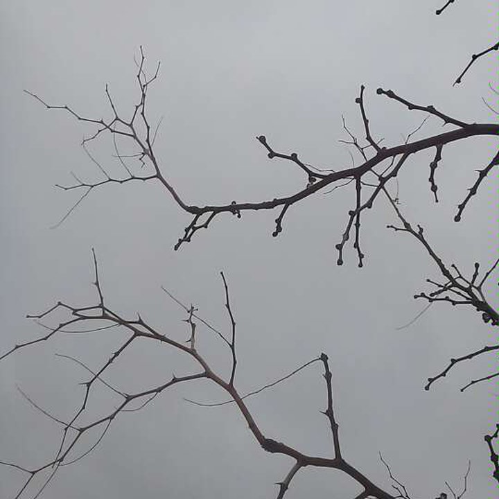 My Crowdsourcing Posts