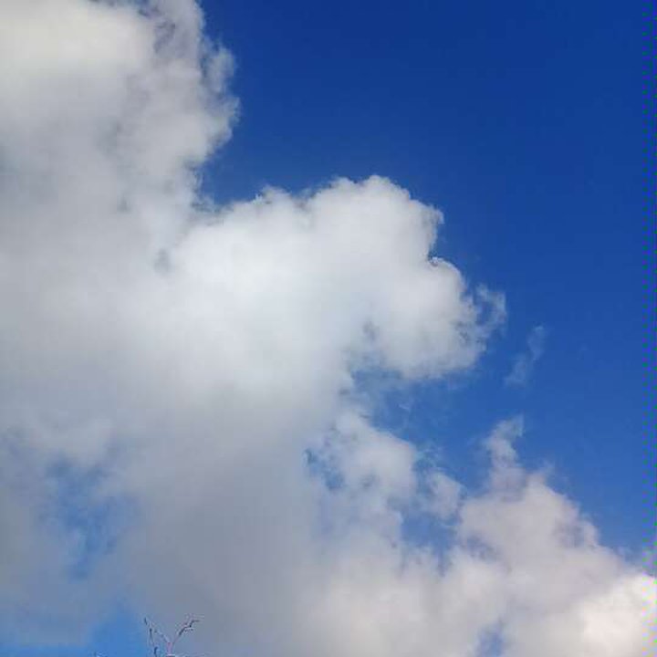 My Crowdsourcing Posts