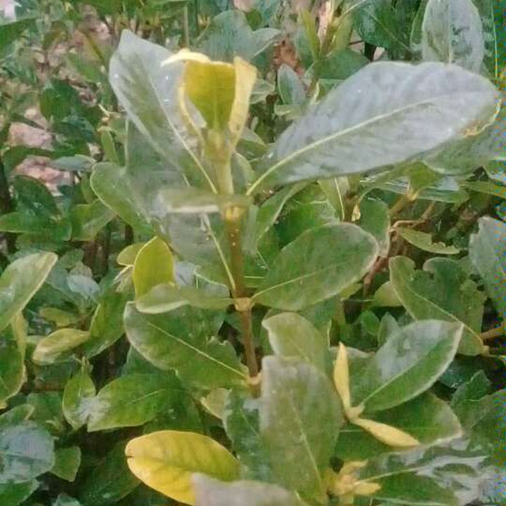 My Crowdsourcing Posts