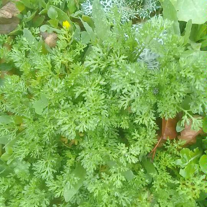 My Crowdsourcing Posts