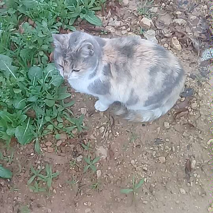 My Crowdsourcing Posts