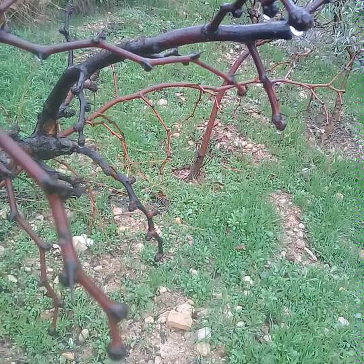 My Crowdsourcing Posts