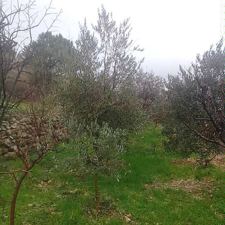 My Crowdsourcing Posts