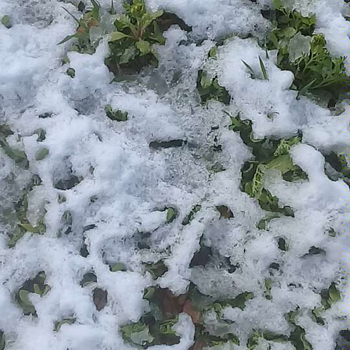 My Crowdsourcing Posts