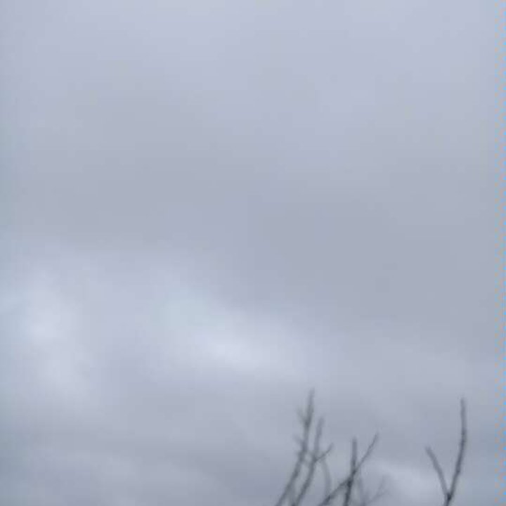 My Crowdsourcing Posts