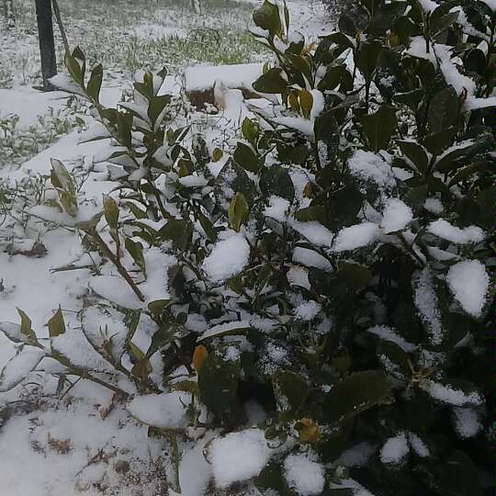 My Crowdsourcing Posts