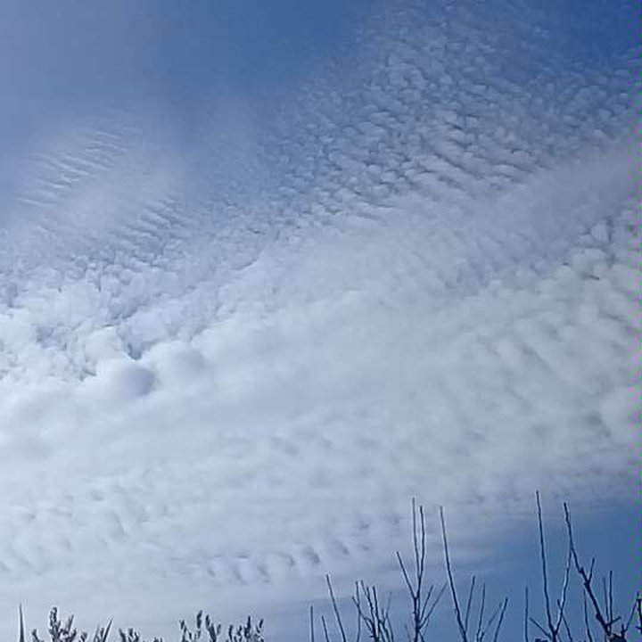 My Crowdsourcing Posts