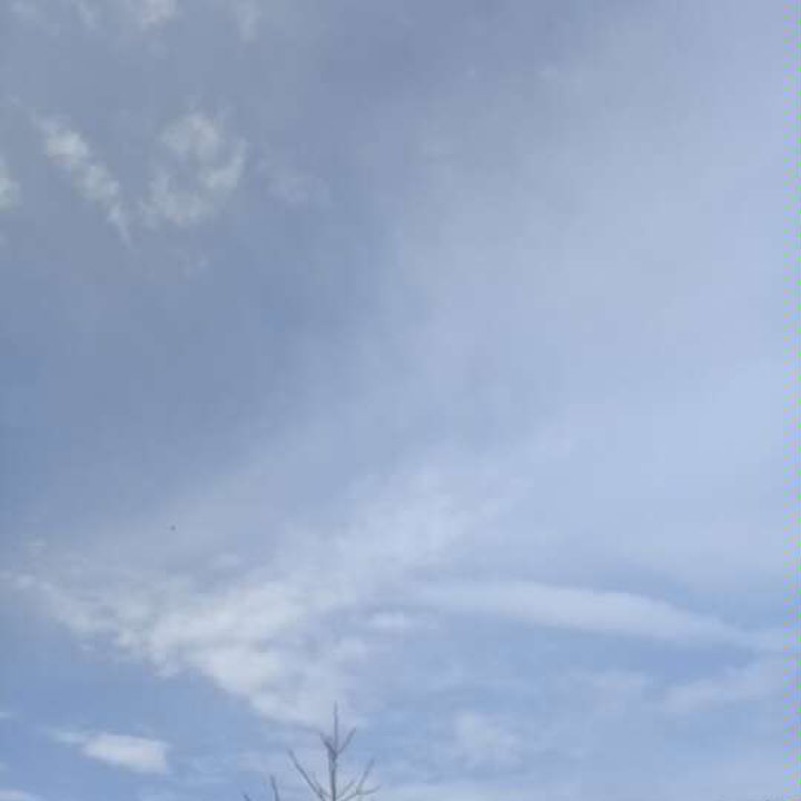 My Crowdsourcing Posts