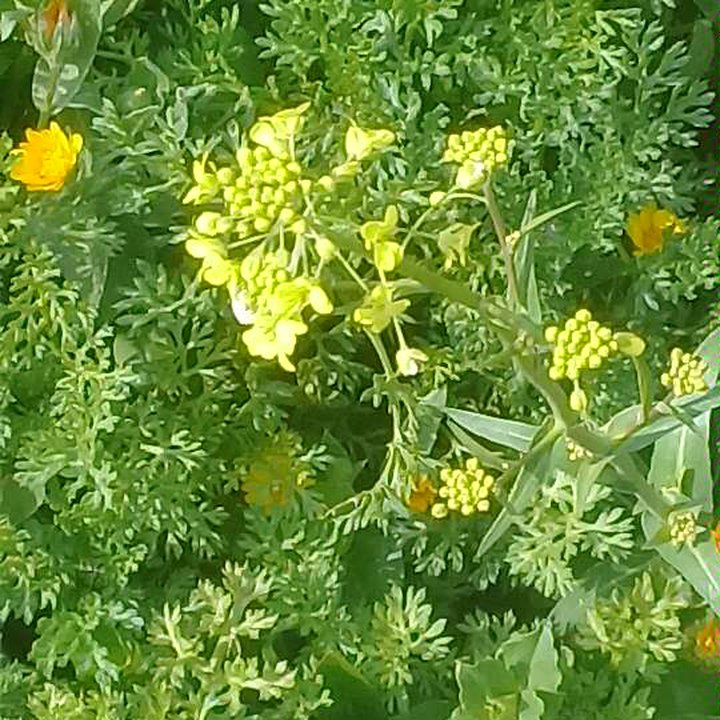 My Crowdsourcing Posts