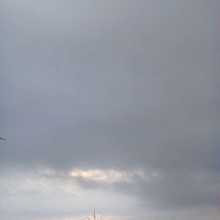 My Crowdsourcing Posts