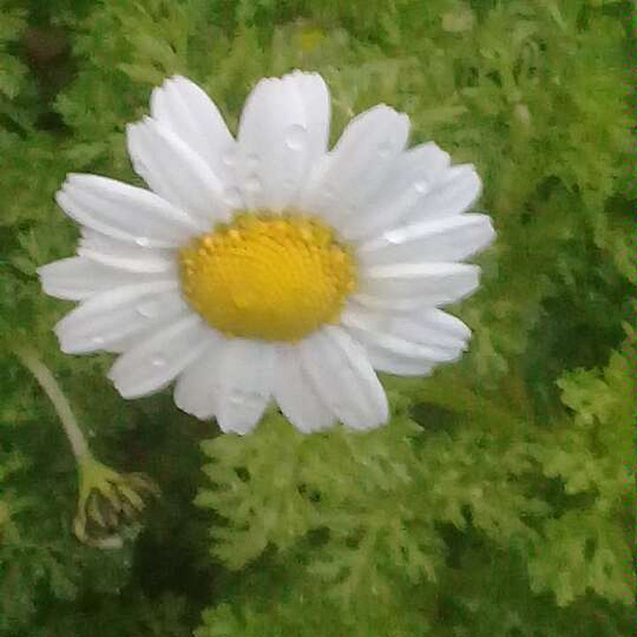 My Crowdsourcing Posts