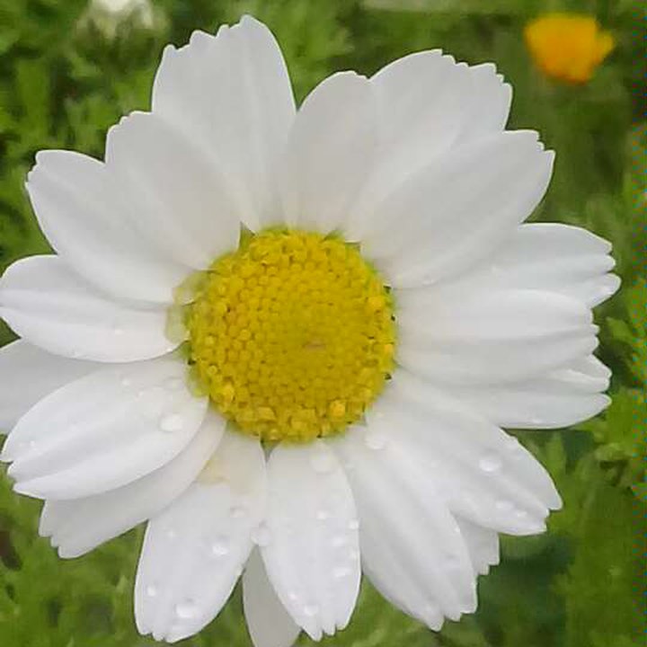 My Crowdsourcing Posts