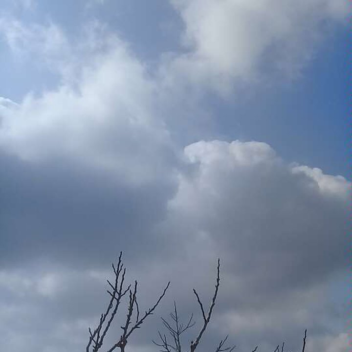 My Crowdsourcing Posts