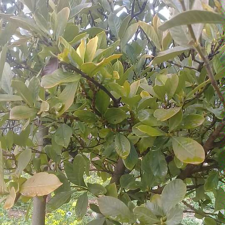 My Crowdsourcing Posts