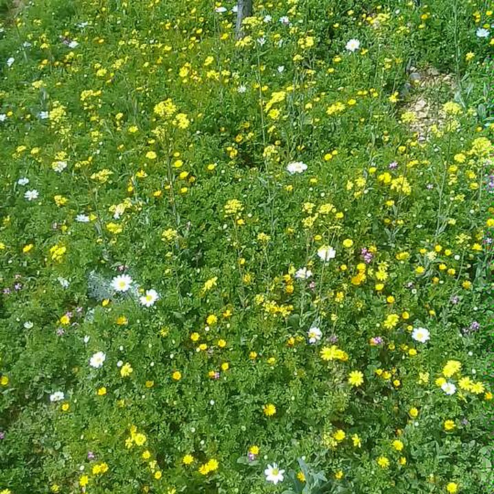 My Crowdsourcing Posts