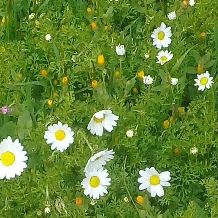 My Crowdsourcing Posts