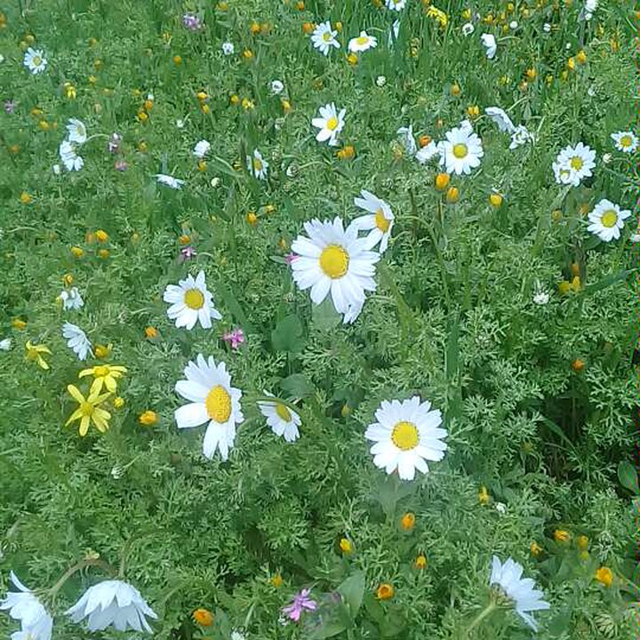 My Crowdsourcing Posts