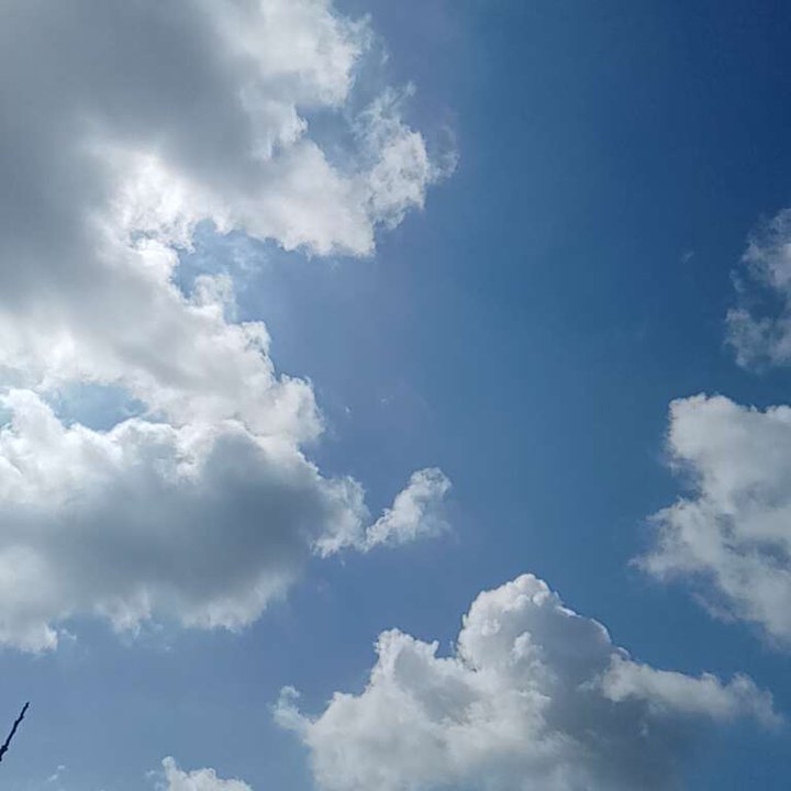 My Crowdsourcing Posts