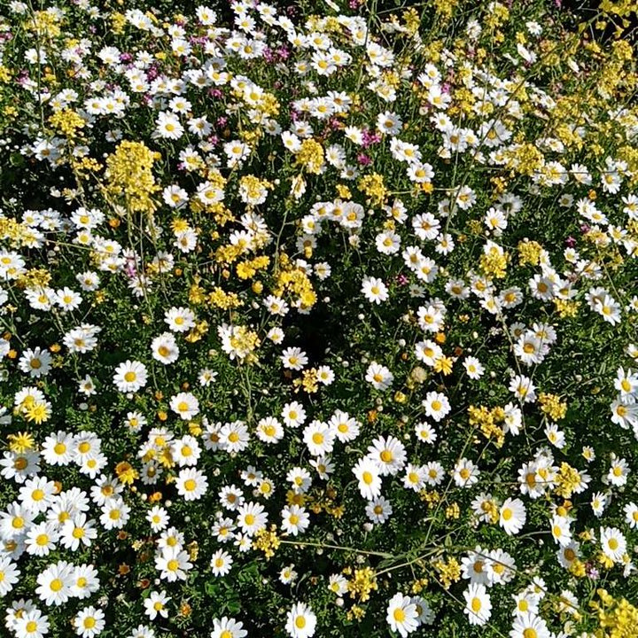 My Crowdsourcing Posts