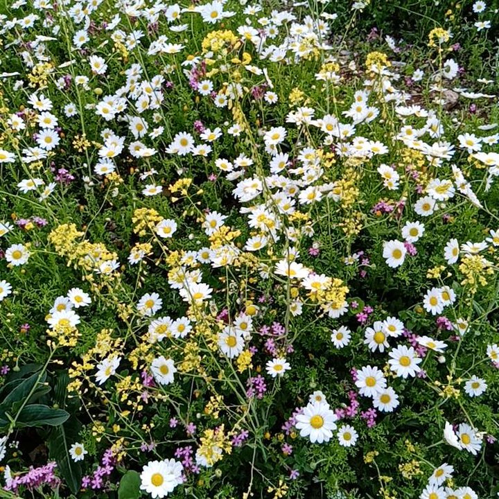 My Crowdsourcing Posts