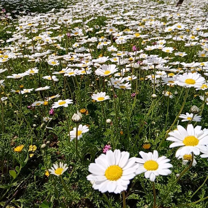 My Crowdsourcing Posts