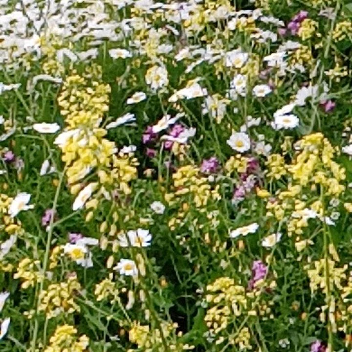 My Crowdsourcing Posts