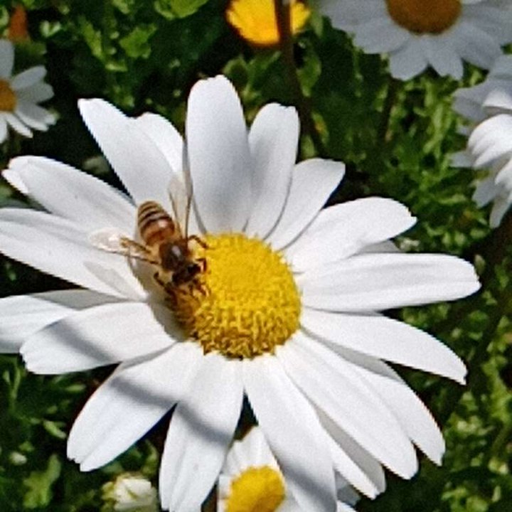 My Crowdsourcing Posts