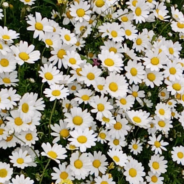 My Crowdsourcing Posts