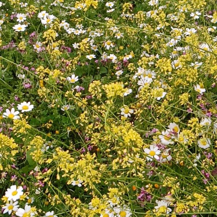 My Crowdsourcing Posts