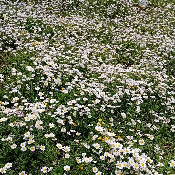 My Crowdsourcing Posts