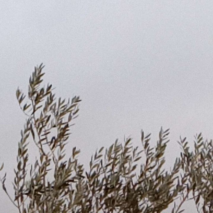 My Crowdsourcing Posts