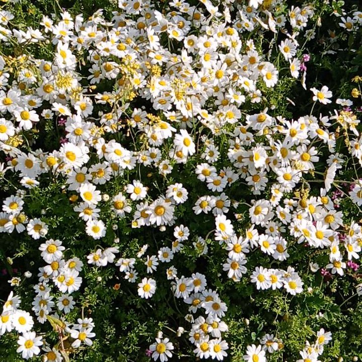 My Crowdsourcing Posts