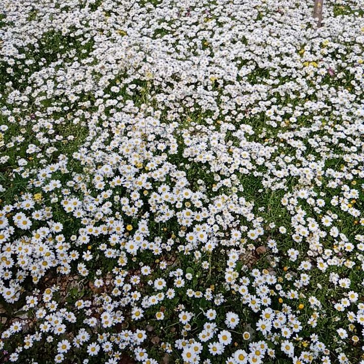 My Crowdsourcing Posts