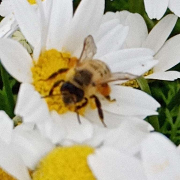 My Crowdsourcing Posts