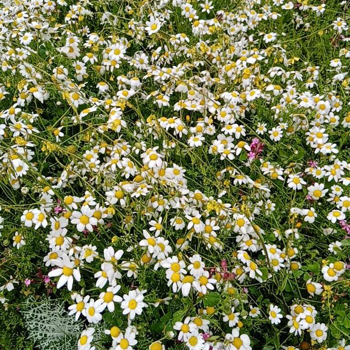 My Crowdsourcing Posts