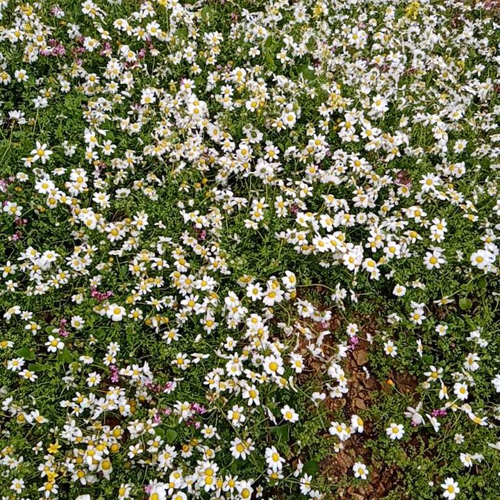 My Crowdsourcing Posts