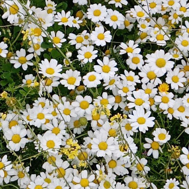 My Crowdsourcing Posts